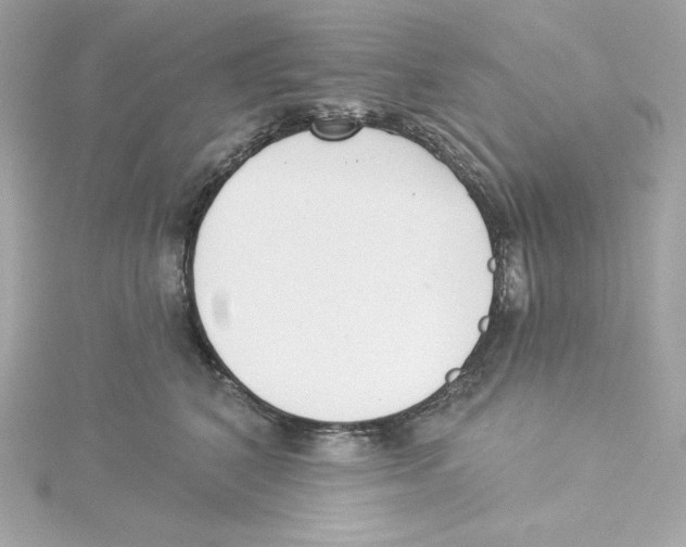 X0000115230616200911271824