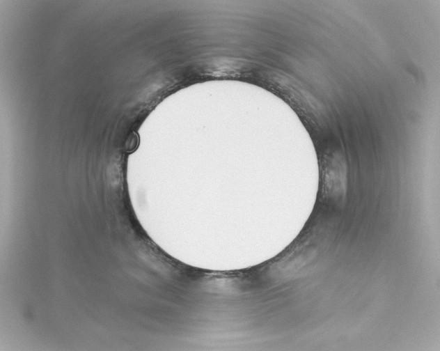 X0000115230620200911271824