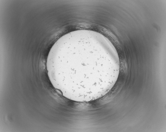 X0000115230621200911271824