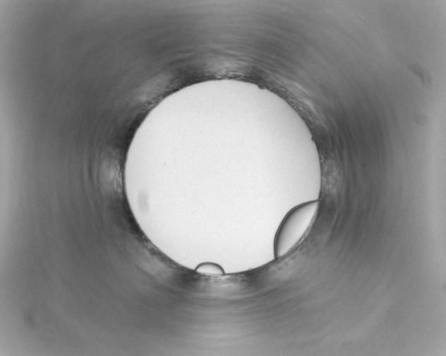 X0000115230622200911271824