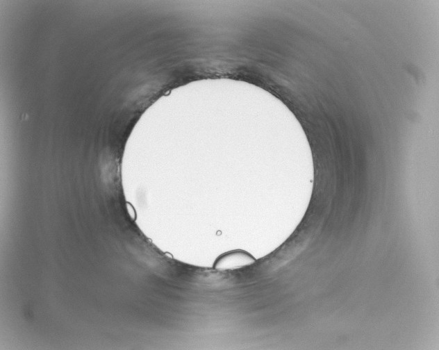 X0000115230624200911271824