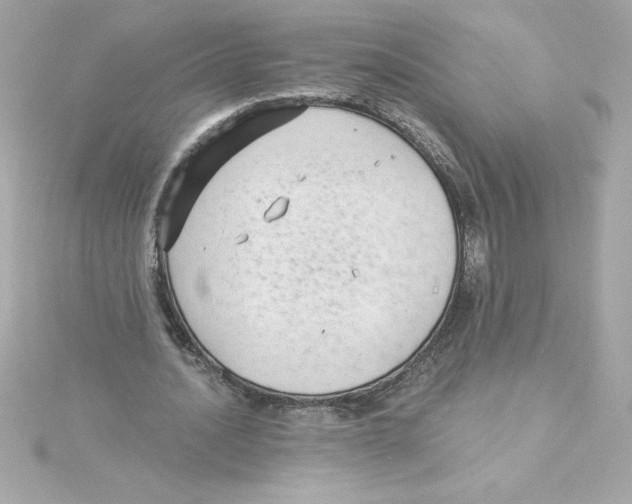 X0000115230628200911271823