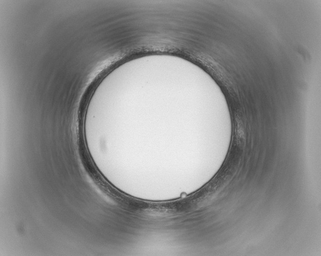 X0000115230630200911271823