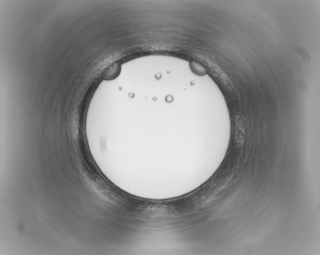 X0000115230631200911271823