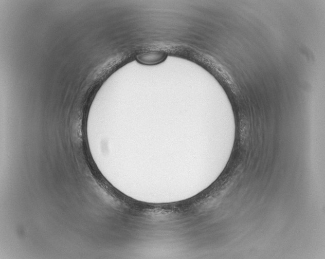 X0000115230633200911271823