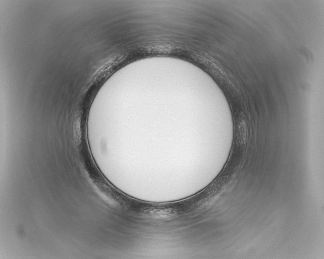 X0000115230638200911271823