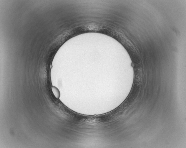 X0000115230639200911271823