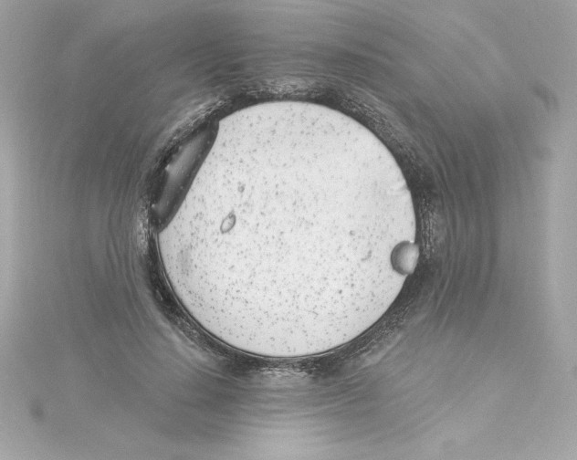 X0000115230644200911271823