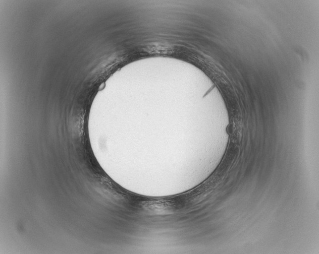 X0000115230652200911271823