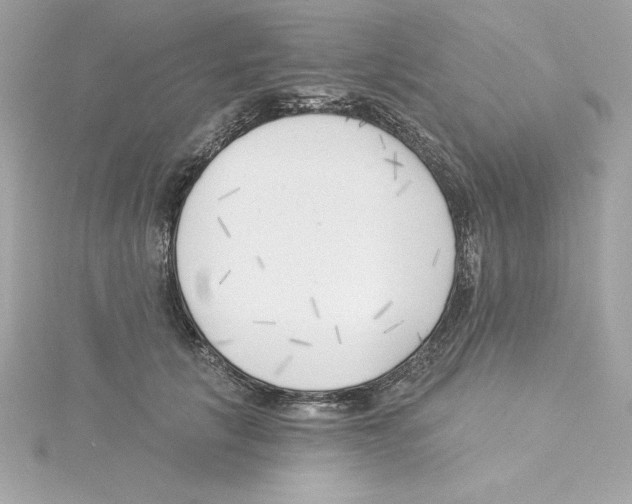 X0000115230657200911271823