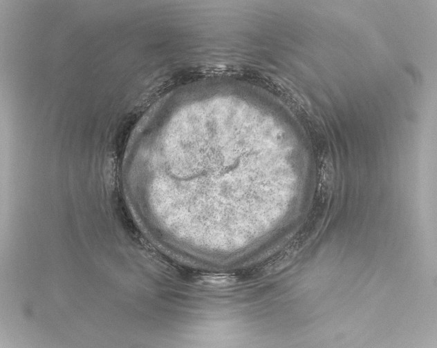 X0000115230659200911271823