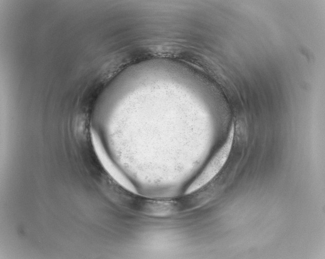 X0000115230671200911271824