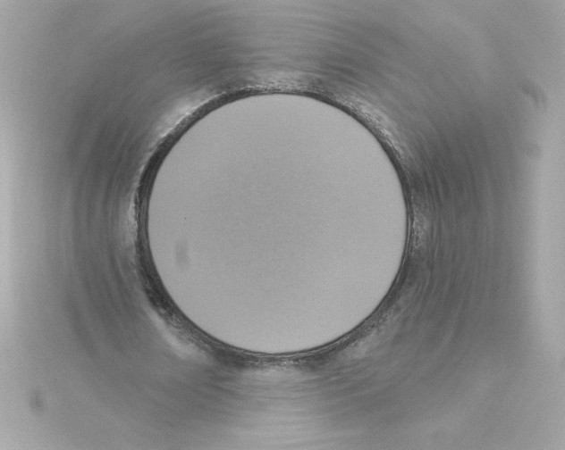 X0000115230674200911271823