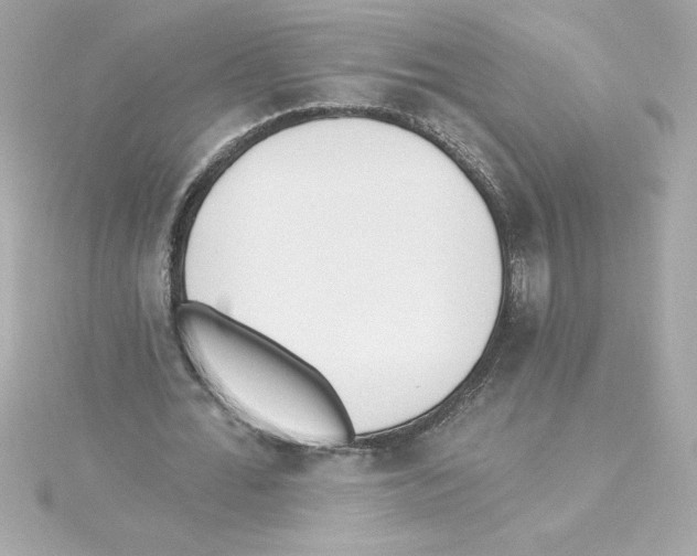 X0000115230676200911271823