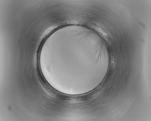 X0000115230678200911271823