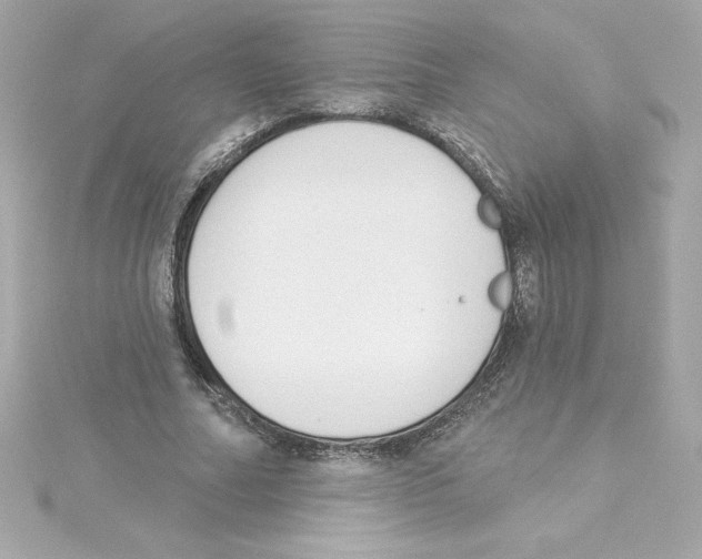 X0000115230682200911271823