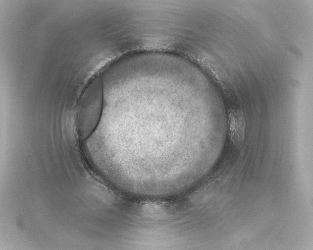 X0000115230684200911271823