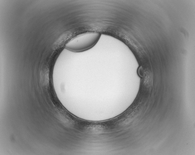 X0000115230685200911271823