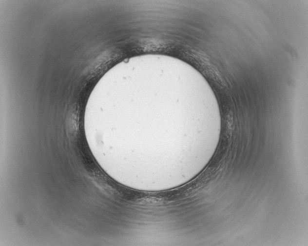X0000115230691200911271823