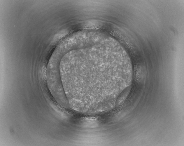 X0000115230692200911271822