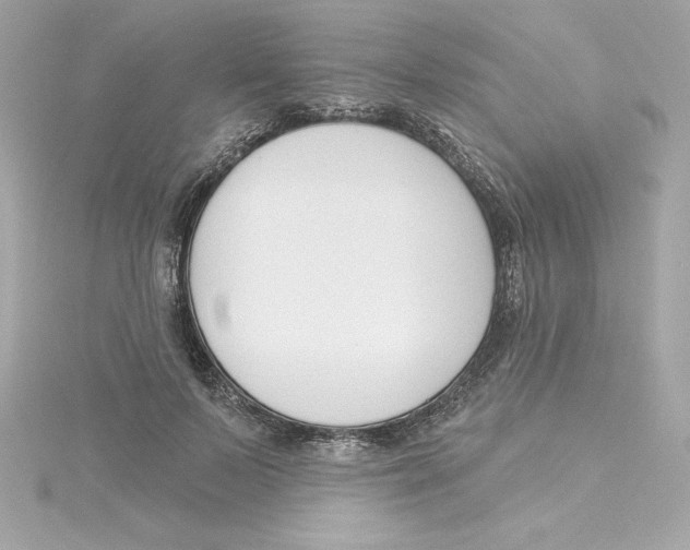 X0000115230695200911271822