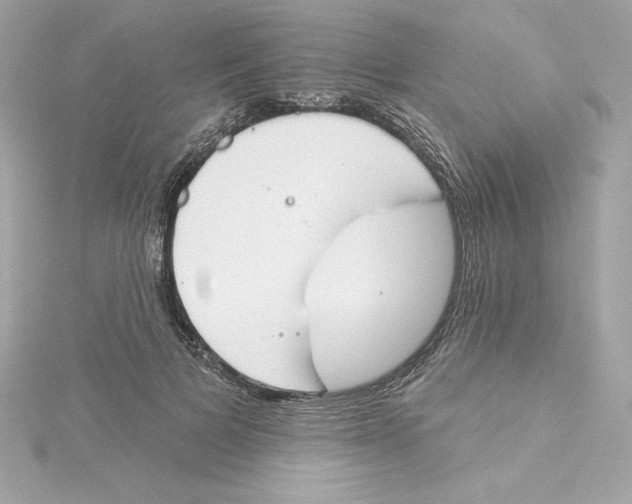 X0000115230697200911271822