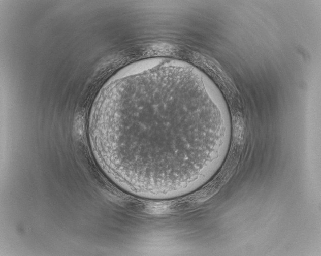 X0000115230701200911271822