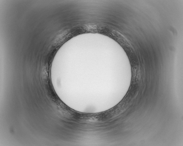 X0000115230702200911271822