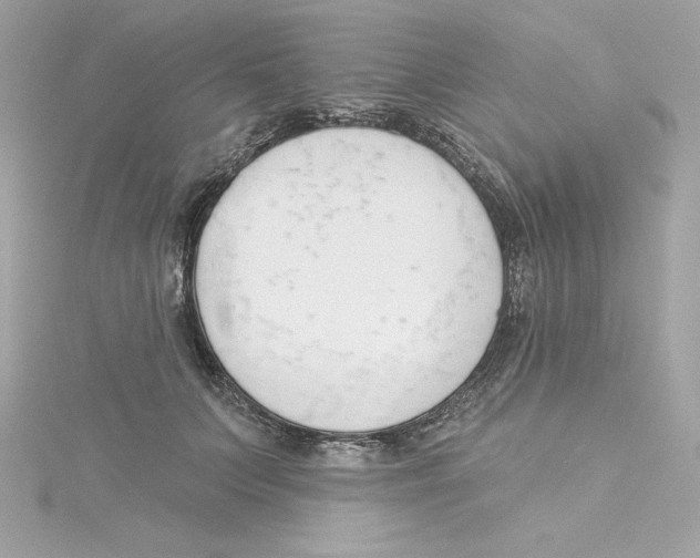 X0000115230703200911271822