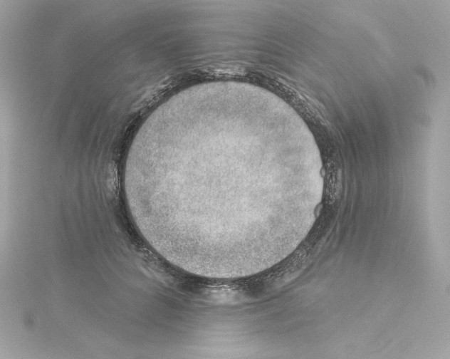 X0000115230704200911271822