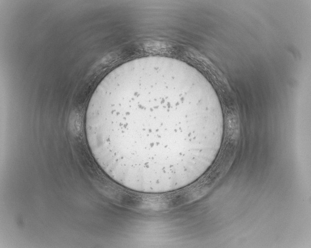 X0000115230705200911271822