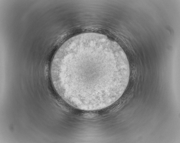 X0000115230708200911271822