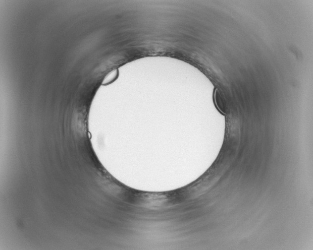 X0000115230719200911271822