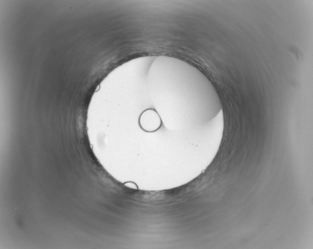 X0000115230720200911271822