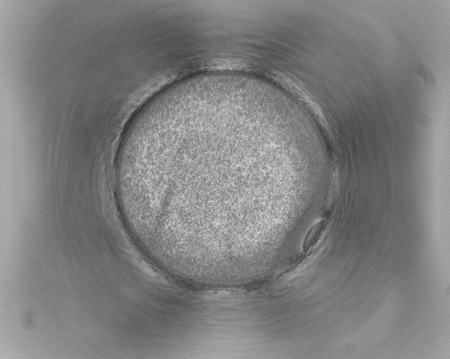 X0000115230721200911271821