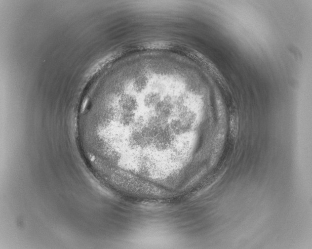 X0000115230725200911271821