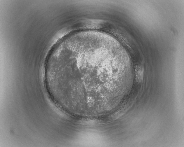 X0000115230726200911271821