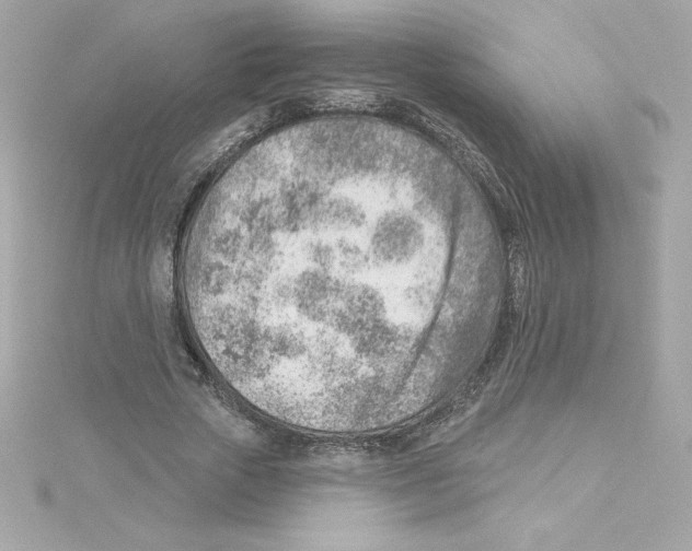 X0000115230729200911271821