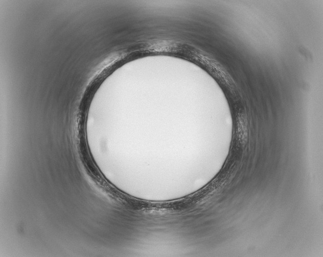 X0000115230730200911271821