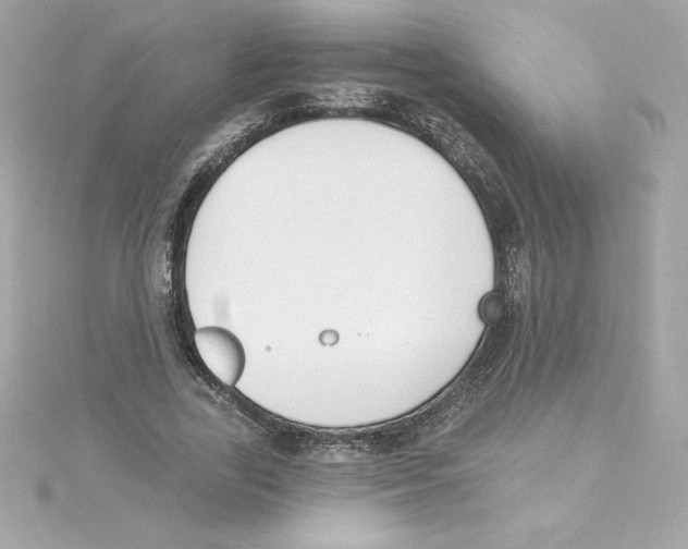 X0000115230731200911271821