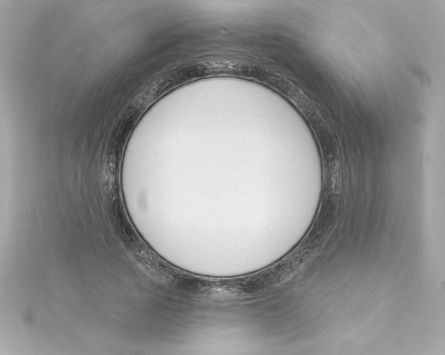 X0000115230737200911271822