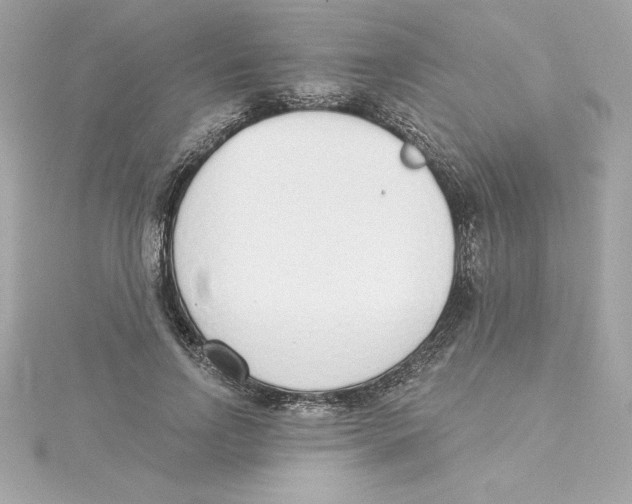 X0000115230742200911271822