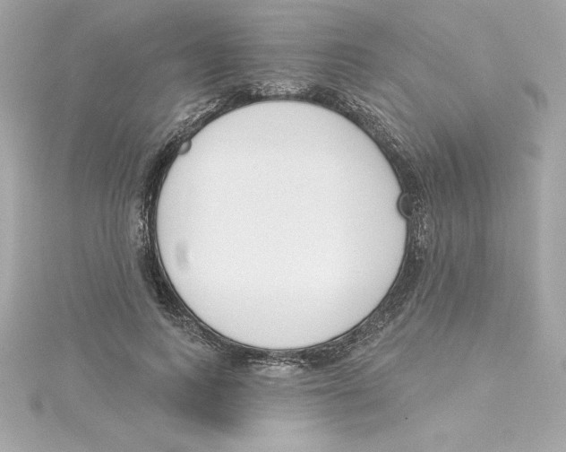 X0000115230743200911271822