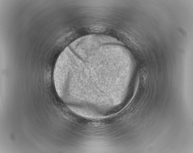 X0000115230745200911271822