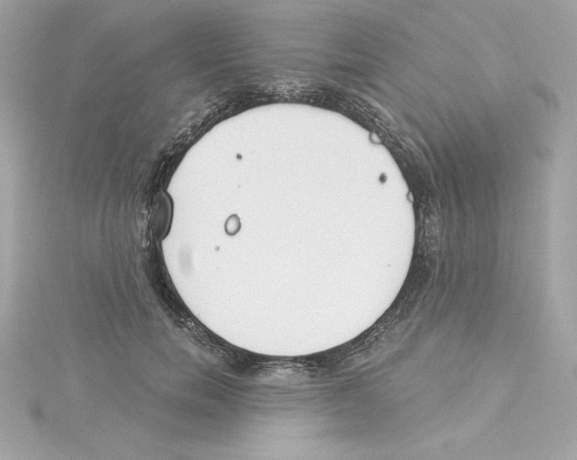 X0000115230750200911271822