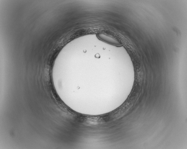 X0000115230757200911271822