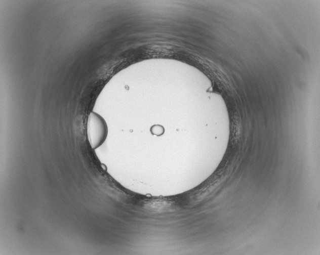 X0000115230759200911271822