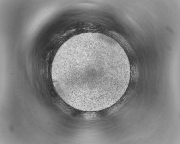 X0000115230762200911271822