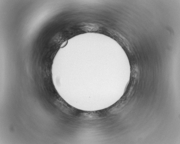 X0000115230763200911271822