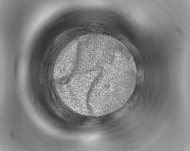 X0000115230765200911271822